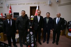 ozelidare