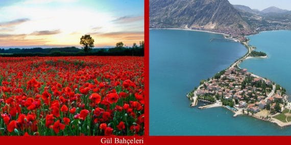 gulbahceleriegirdir